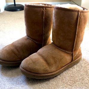 Chestnut medium height UGGs